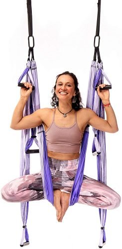  YogaBody Trapeze Pro Yoga Swing